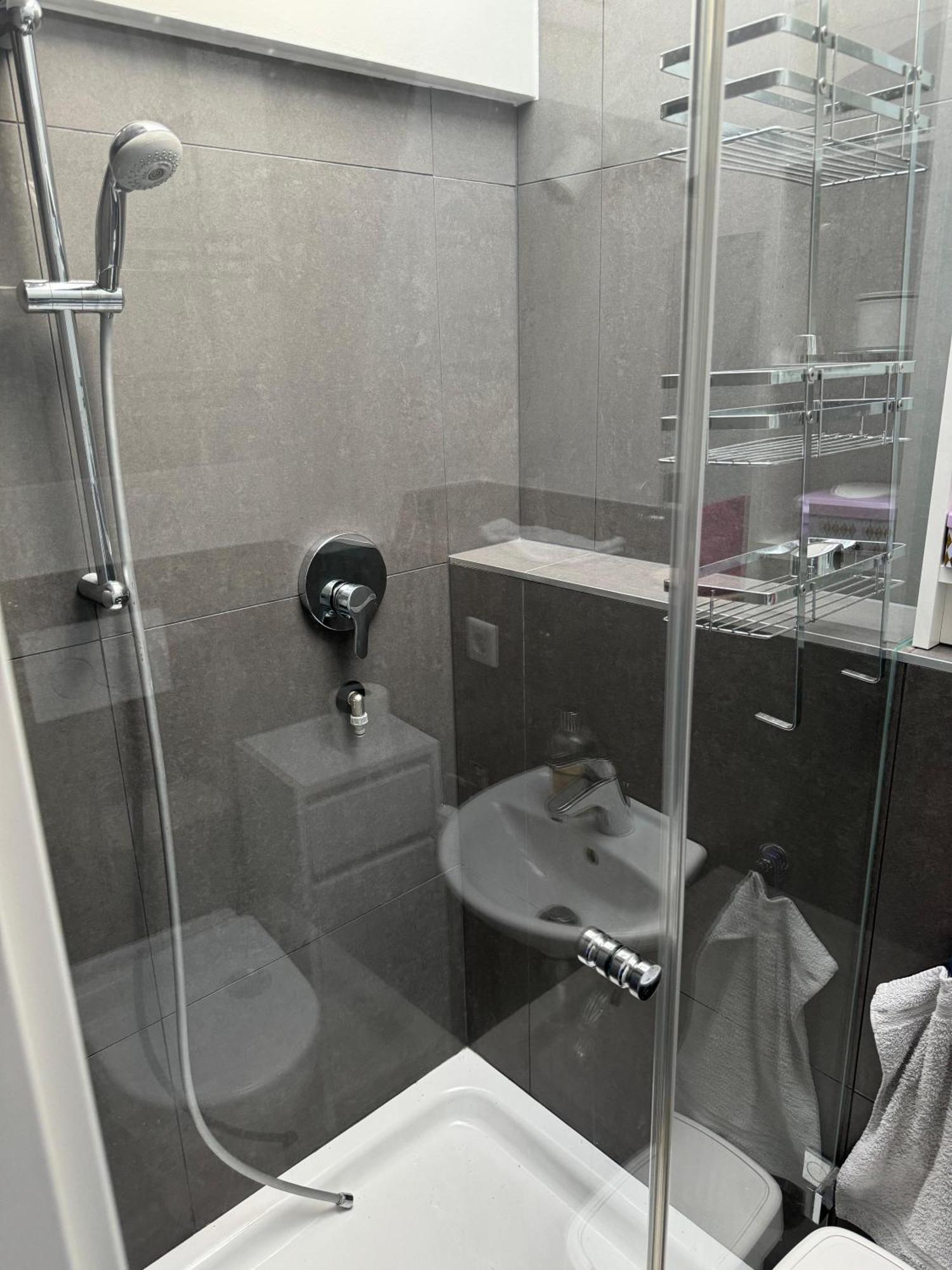 6 Zimmer Maisonette-Penthouse Pool Dachterrasse Luxus 慕尼黑 外观 照片