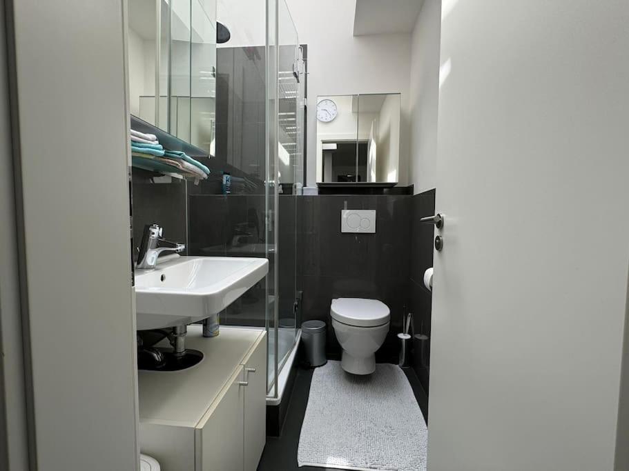6 Zimmer Maisonette-Penthouse Pool Dachterrasse Luxus 慕尼黑 外观 照片